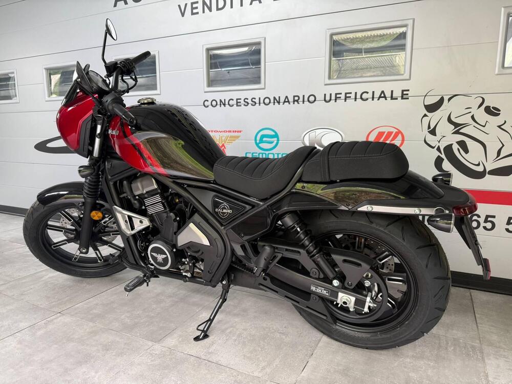 Moto Morini Calibro Custom (2024 - 25) (5)