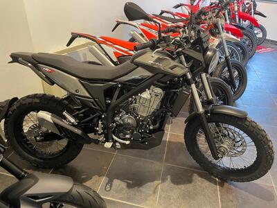 Betamotor Alp X (2024 - 25) nuova