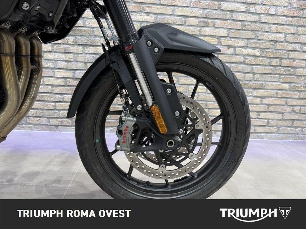 Triumph Tiger 1200 GT Pro (2024 - 25) (14)