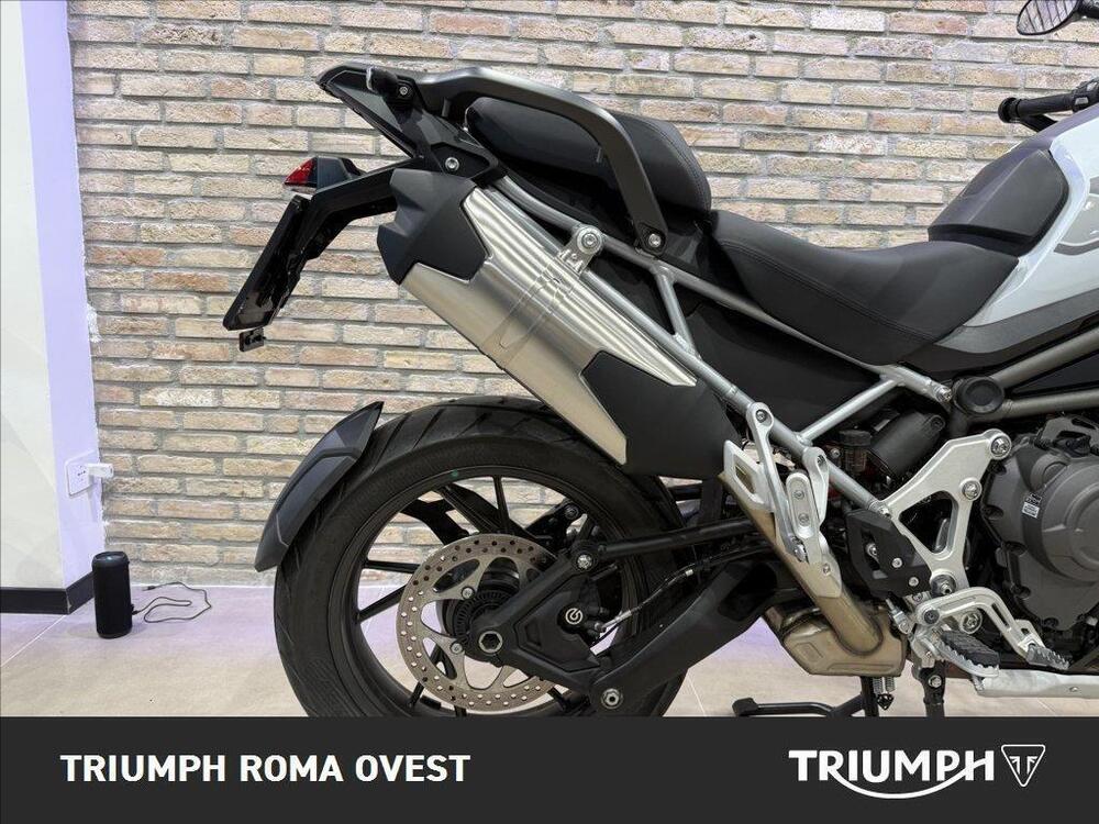 Triumph Tiger 1200 GT Pro (2024 - 25) (12)