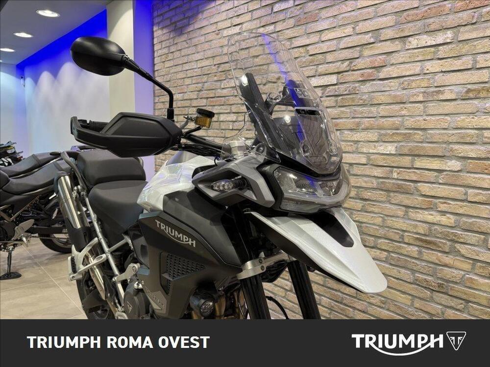 Triumph Tiger 1200 GT Pro (2024 - 25) (15)