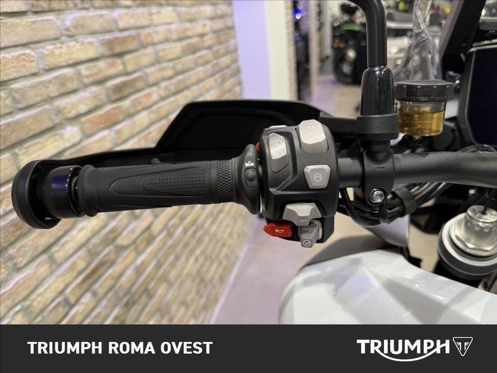 Triumph Tiger 1200 GT Pro (2024 - 25) (16)