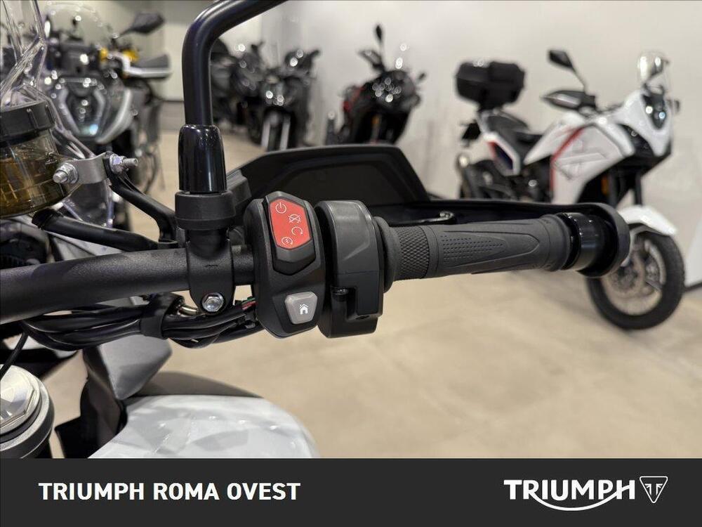 Triumph Tiger 1200 GT Pro (2024 - 25) (17)