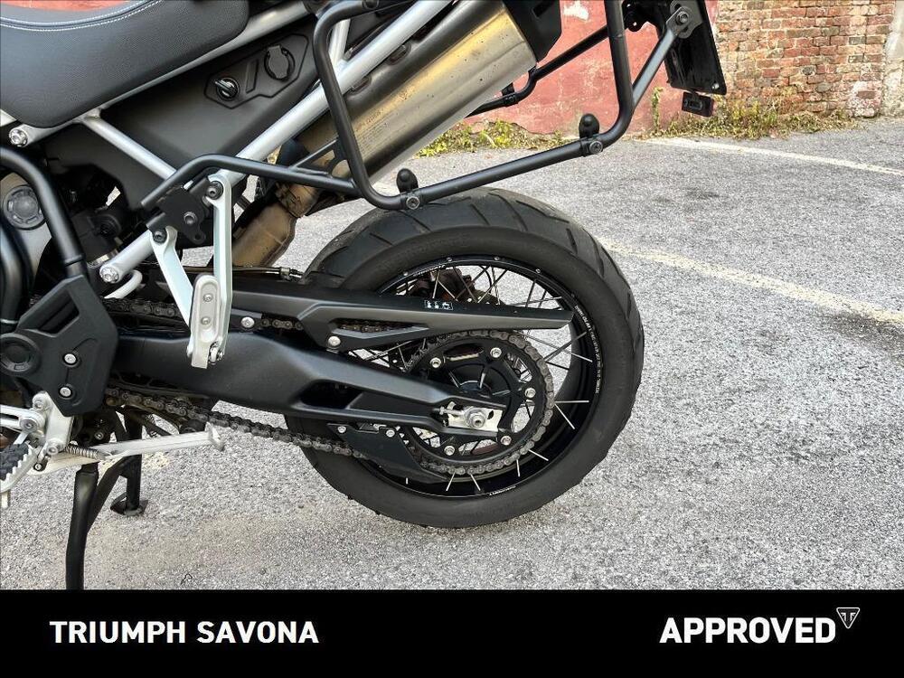 Triumph Tiger 900 Rally (2020 - 23) (6)