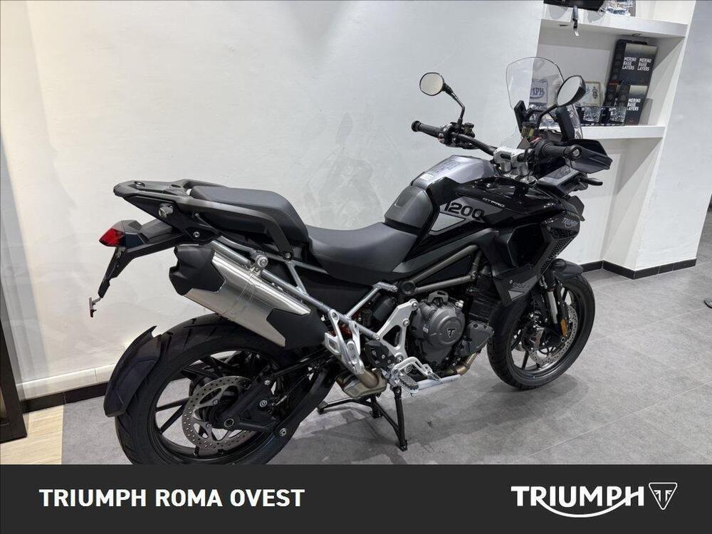 Triumph Tiger 1200 GT Pro (2024 - 25) (7)