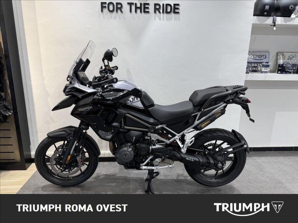 Triumph Tiger 1200 GT Pro (2024 - 25) (2)