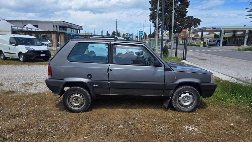 Fiat Panda usata a Teramo (3)