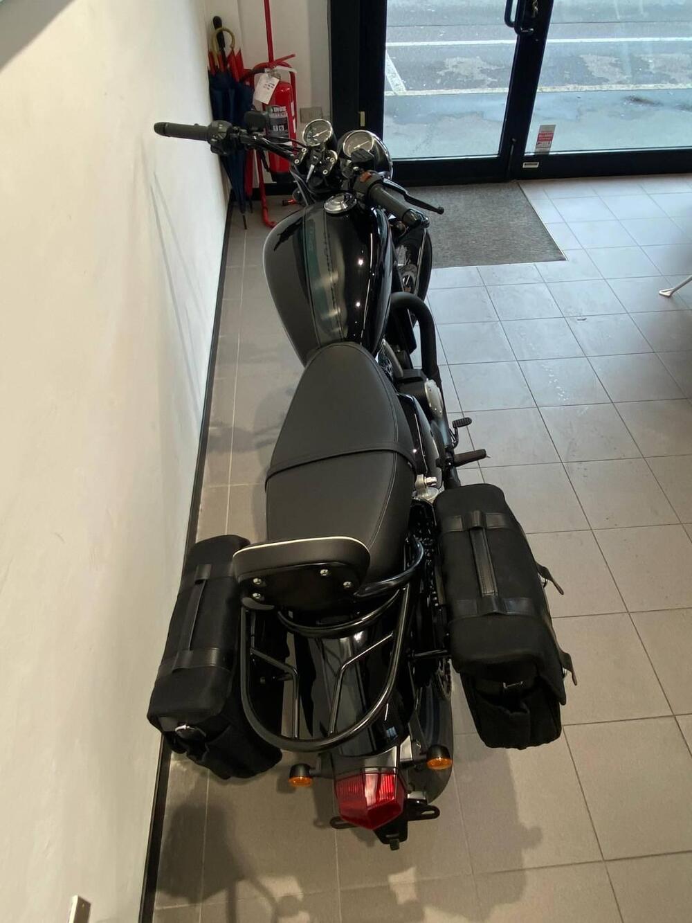 Bsa Gold Star 650 (2024 - 25) (4)