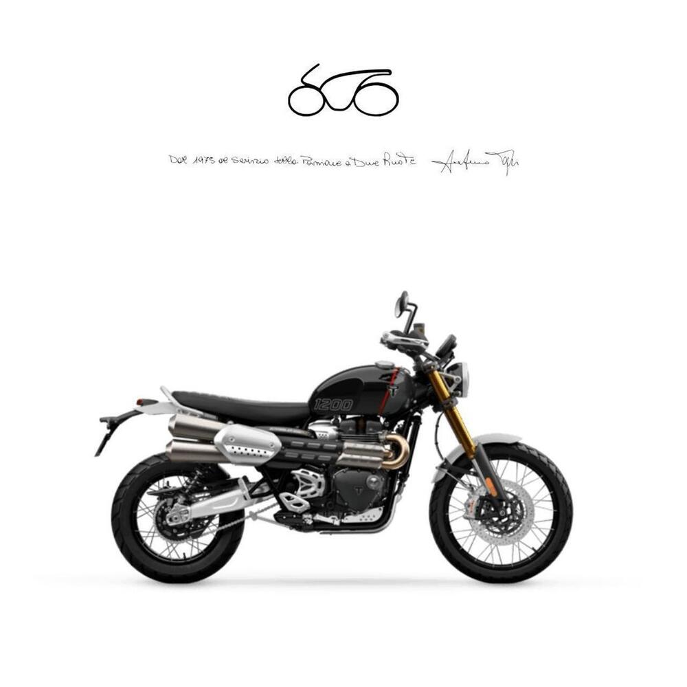 Triumph Scrambler 1200 X (2024 - 25)