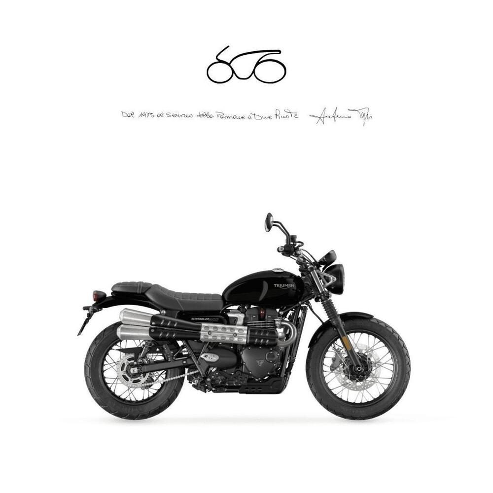 Triumph Scrambler 900 (2023 - 25)