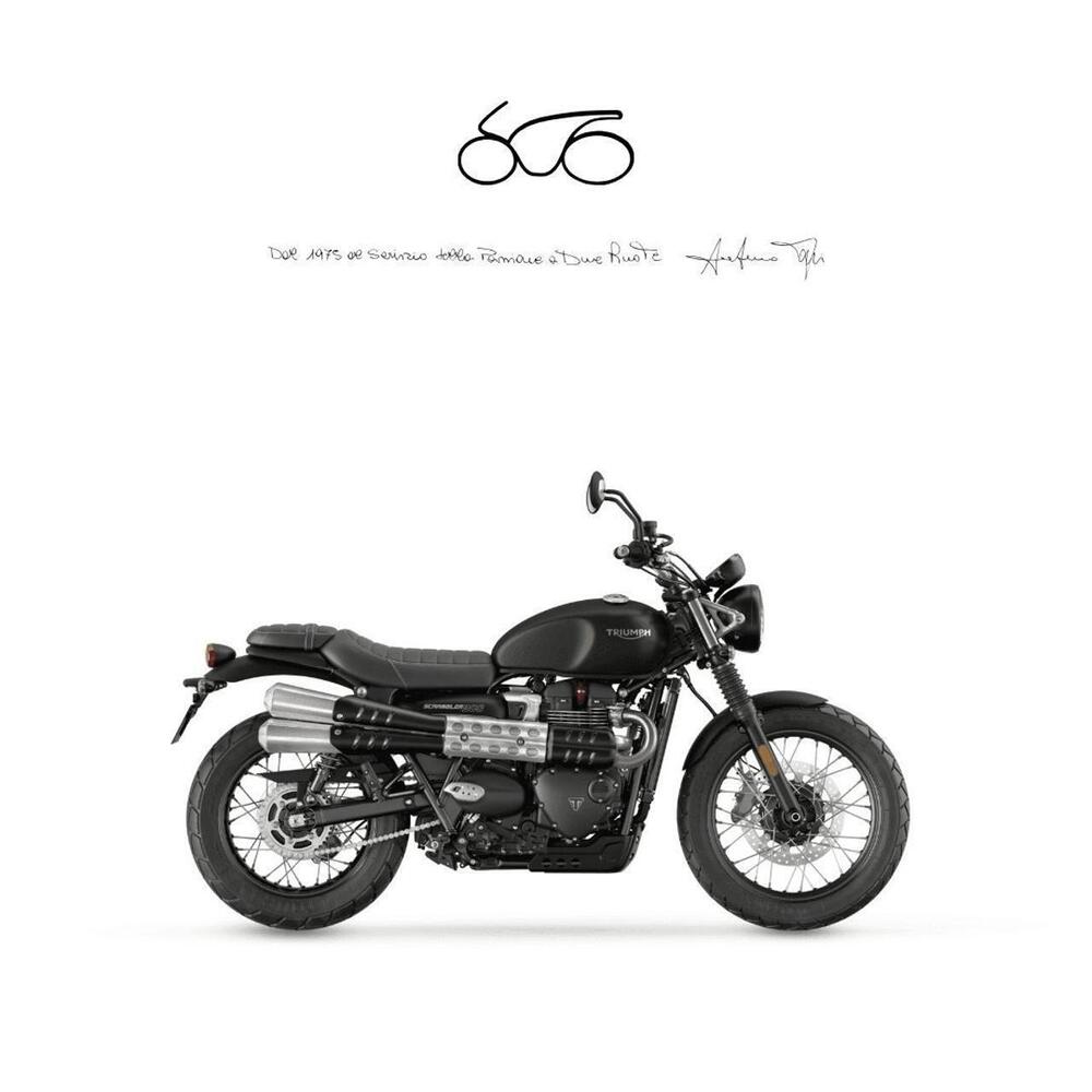 Triumph Scrambler 900 (2023 - 25)