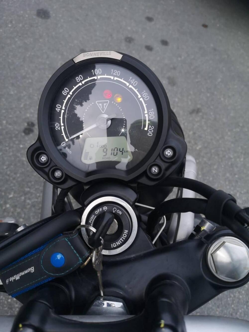 Triumph Street Scrambler 900 Gold Line Edition (2021 - 23) (7)