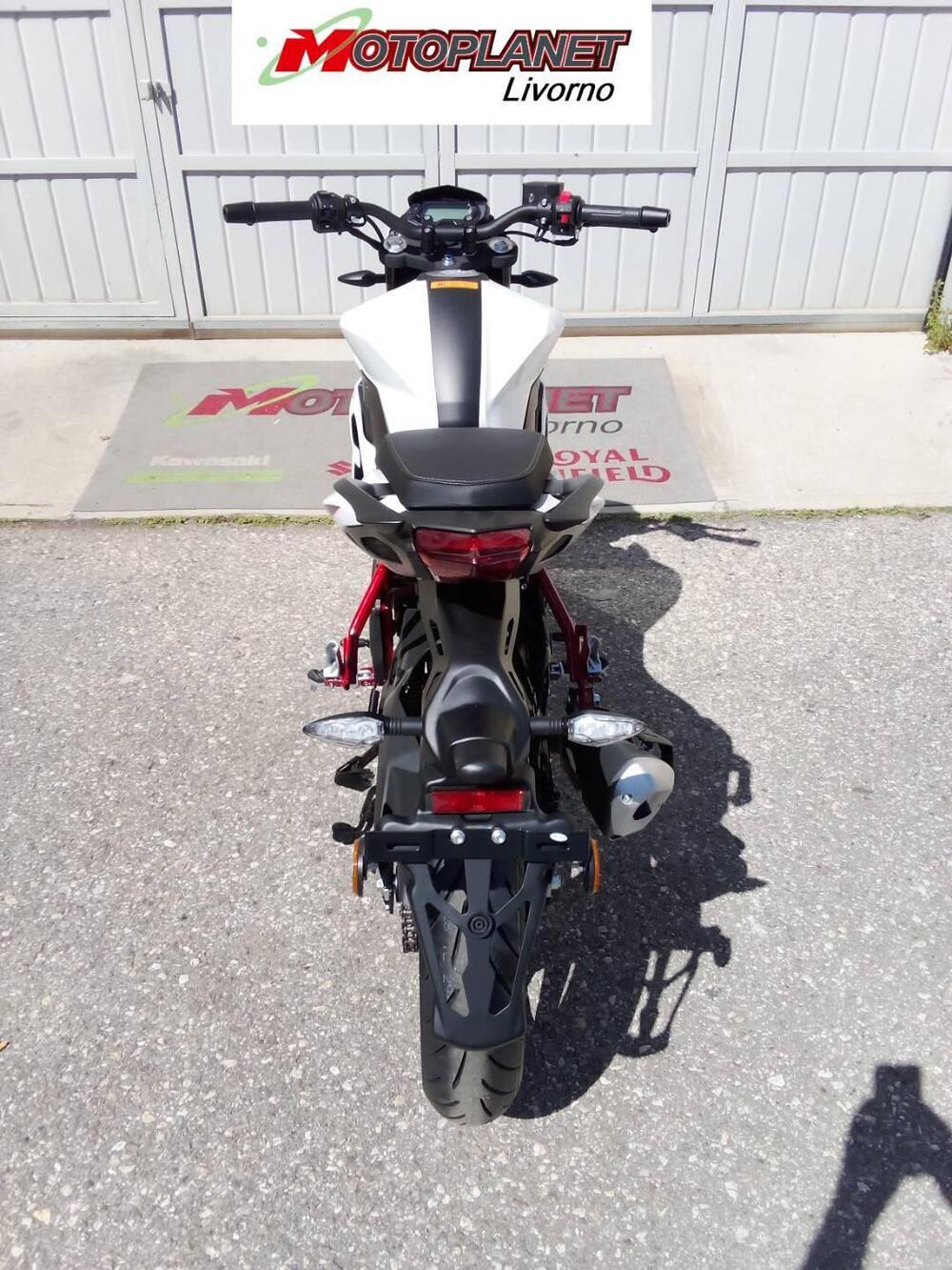 Benelli BN 125 (2021 - 25) (6)