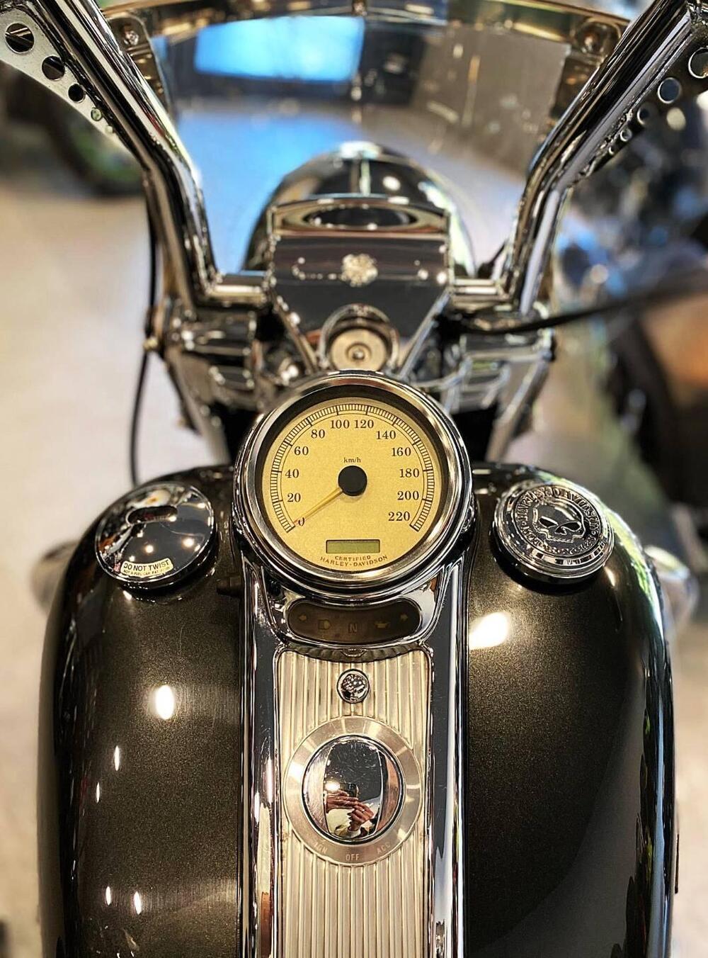 Harley-Davidson 1450 Road King Custom (2002 - 04) - FLHRSI (14)