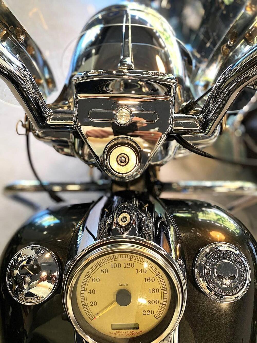 Harley-Davidson 1450 Road King Custom (2002 - 04) - FLHRSI (15)