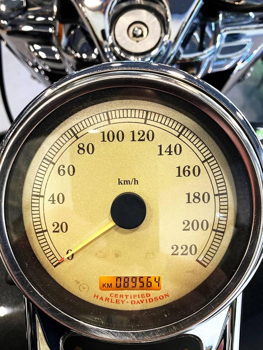 Harley-Davidson 1450 Road King Custom (2002 - 04) - FLHRSI (16)