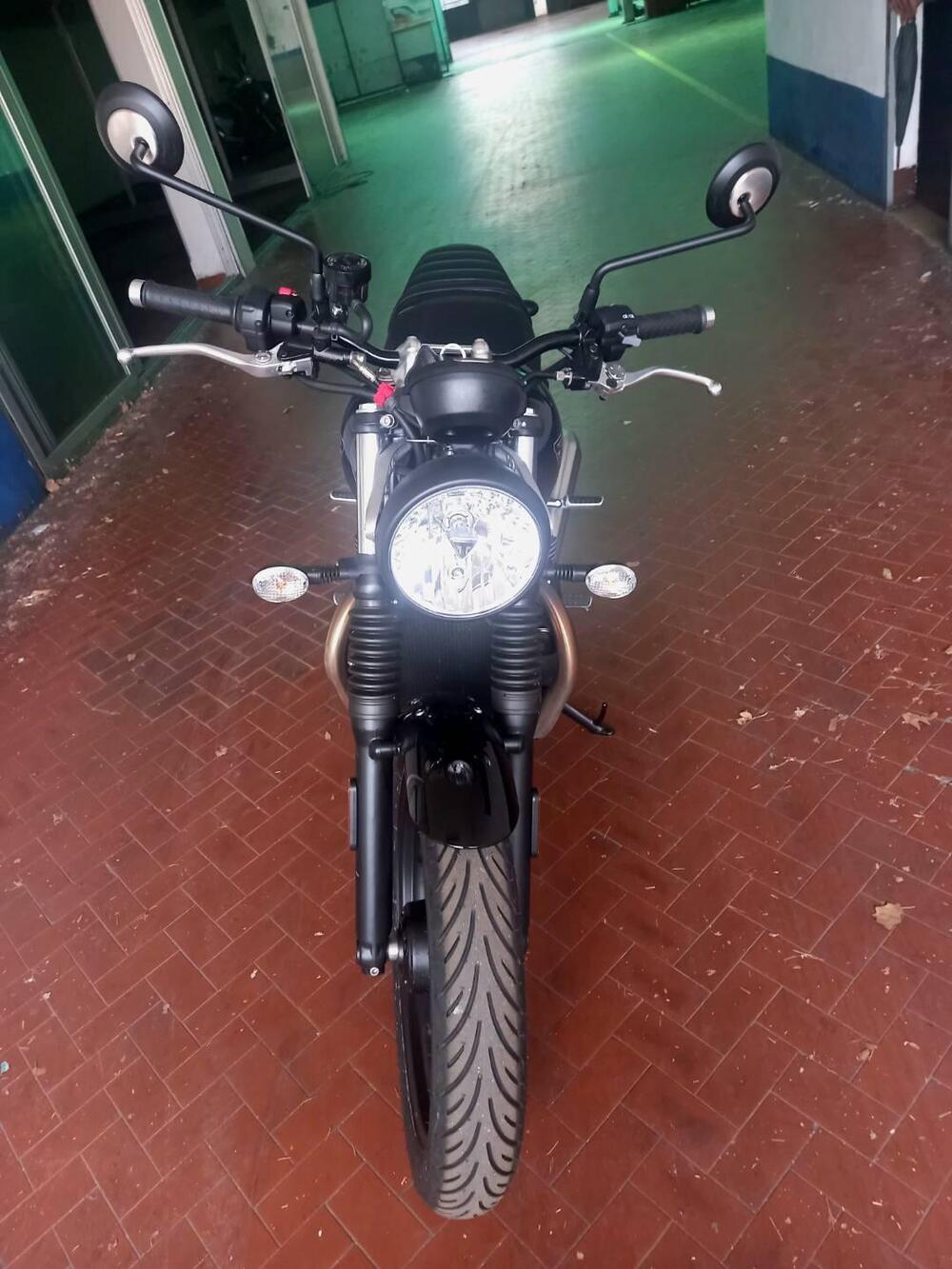 Triumph Speed Twin 900 (2023 - 24) (3)