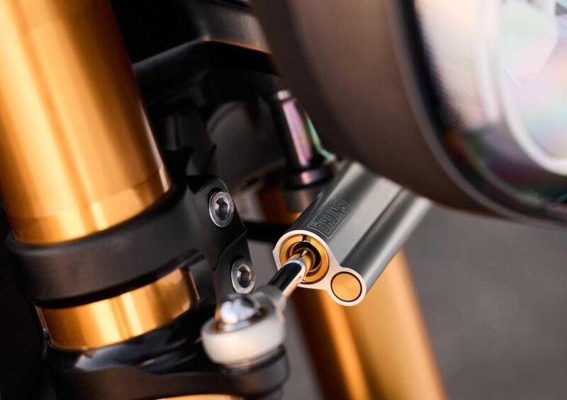 Triumph Speed Triple 1200 Speed Triple 1200 RX (2025) (10)