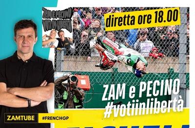 zam e pecino: voti in libert&agrave; [VIDEO]