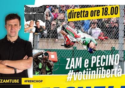 zam e pecino: voti in libertà [VIDEO]