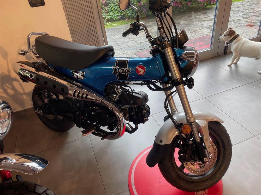 Honda Dax 125 (2025)