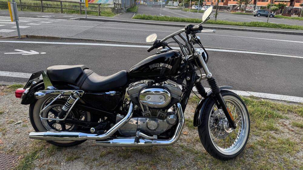 Harley-Davidson 883 Standard (2001 - 05) - XL 883 (2)