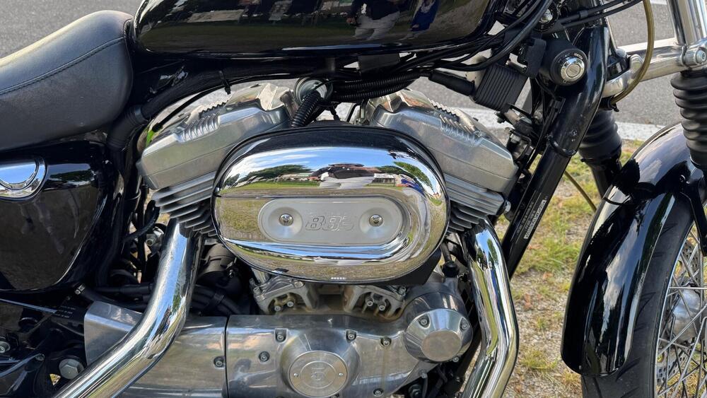 Harley-Davidson 883 Standard (2001 - 05) - XL 883 (3)