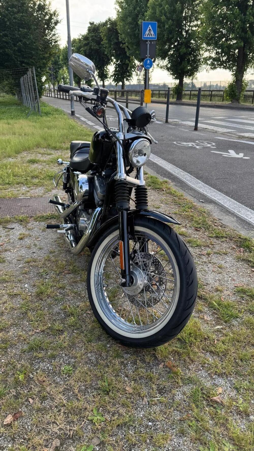 Harley-Davidson 883 Standard (2001 - 05) - XL 883 (4)