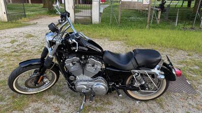 Harley-Davidson 883 Standard (2001 - 05) - XL 883 usata