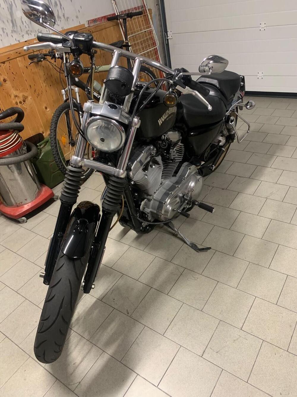 Harley-Davidson 883 Standard (2001 - 05) - XL 883 (6)