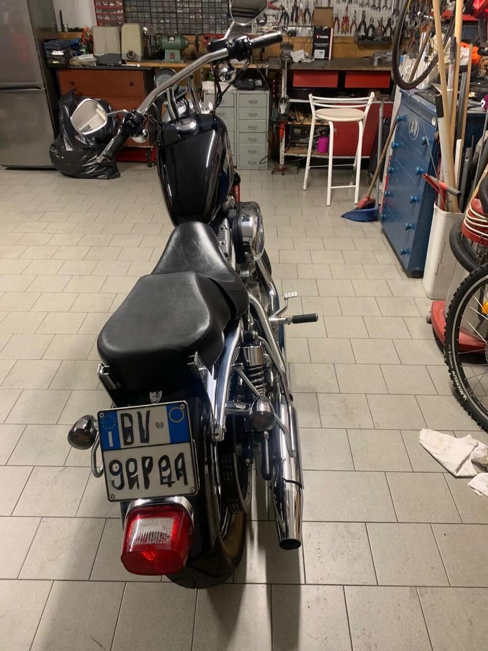 Harley-Davidson 883 Standard (2001 - 05) - XL 883 (7)