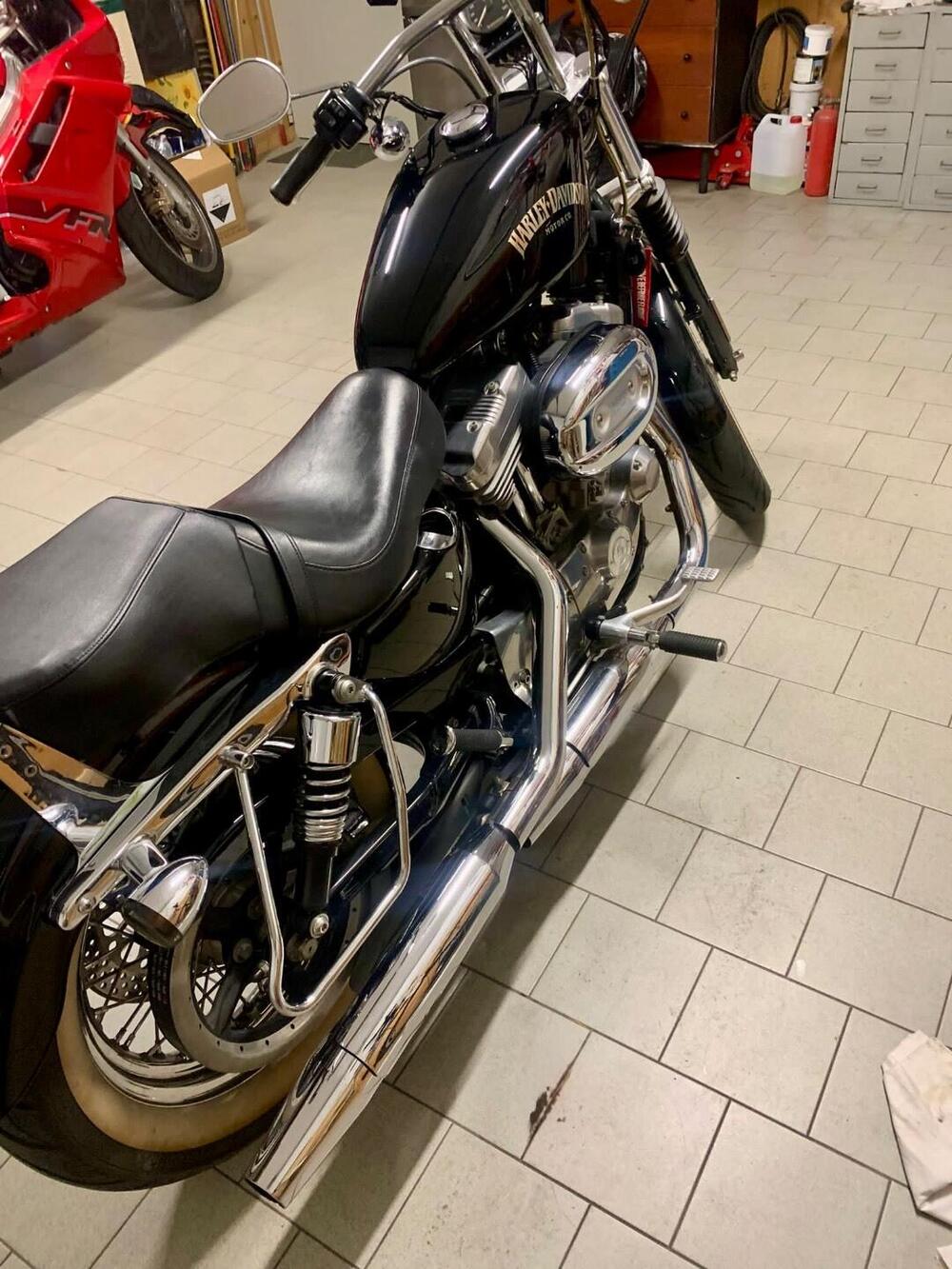 Harley-Davidson 883 Standard (2001 - 05) - XL 883 (8)