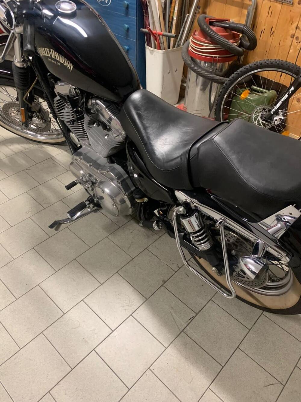 Harley-Davidson 883 Standard (2001 - 05) - XL 883 (9)