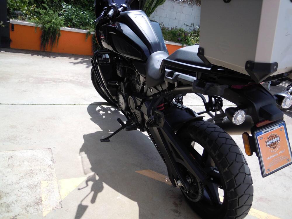 Harley-Davidson Pan America 1250 (2020 - 25) (5)