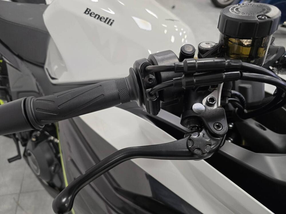 Benelli Tornado 550 (2025) (6)