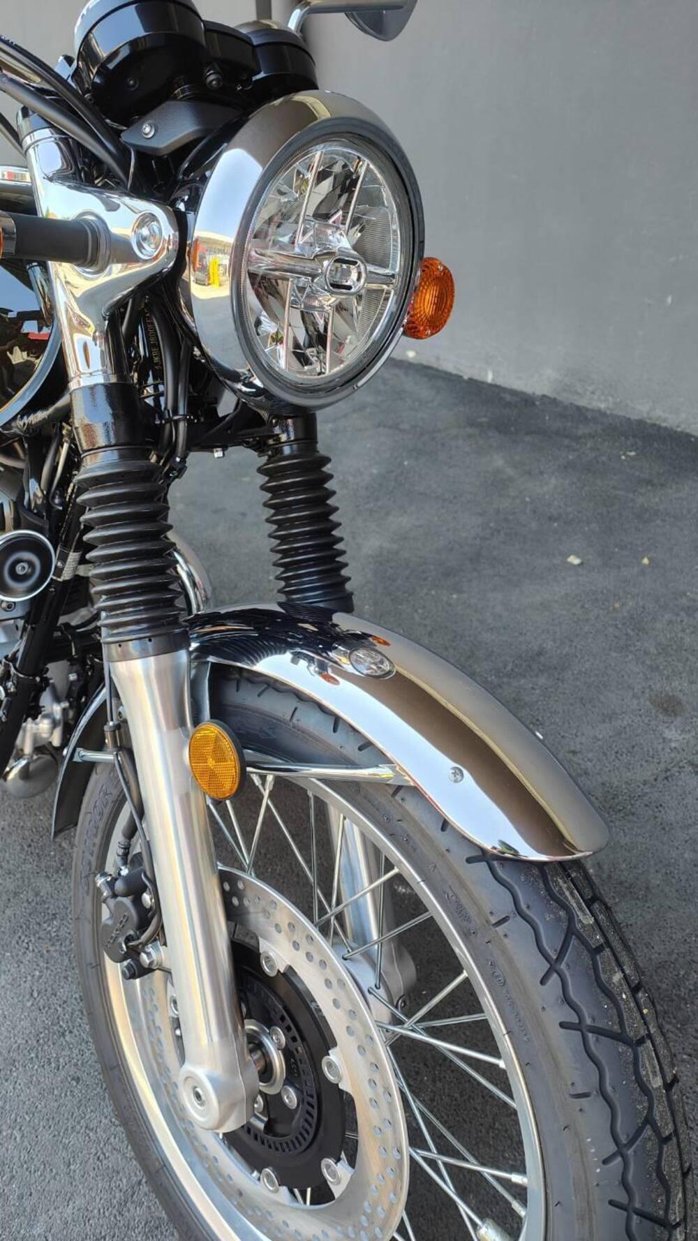 Kawasaki W 800 (2021 - 25) (7)