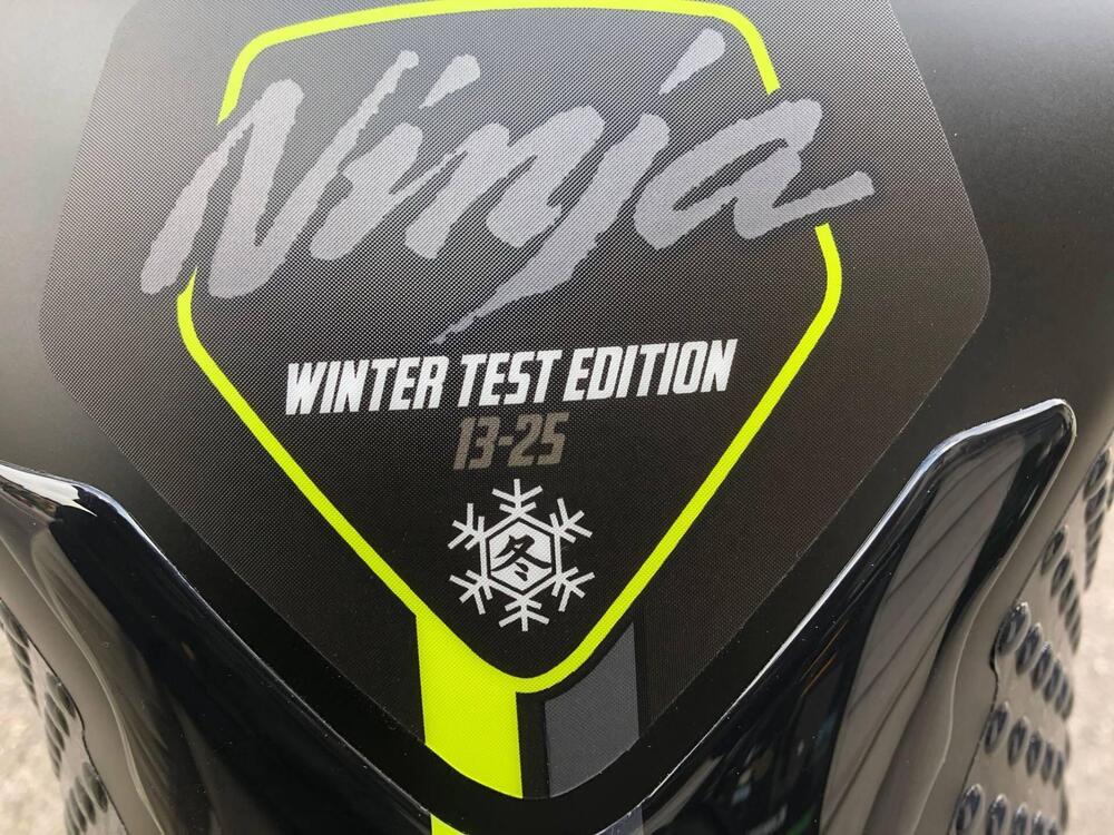 Kawasaki Ninja 1000 ZX-10RR "Winter Test" Limited Edition (2024) (5)