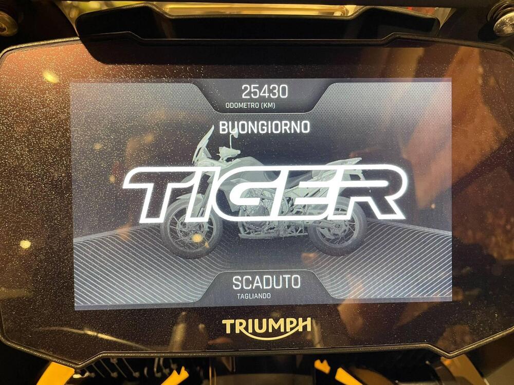 Triumph Tiger 900 GT Pro (2020 - 23) (6)