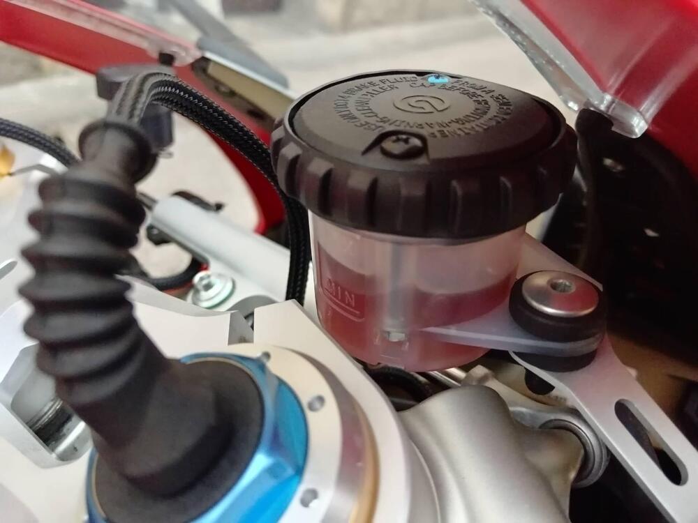 Ducati Panigale V4 S 1100 (2018 - 19) (17)
