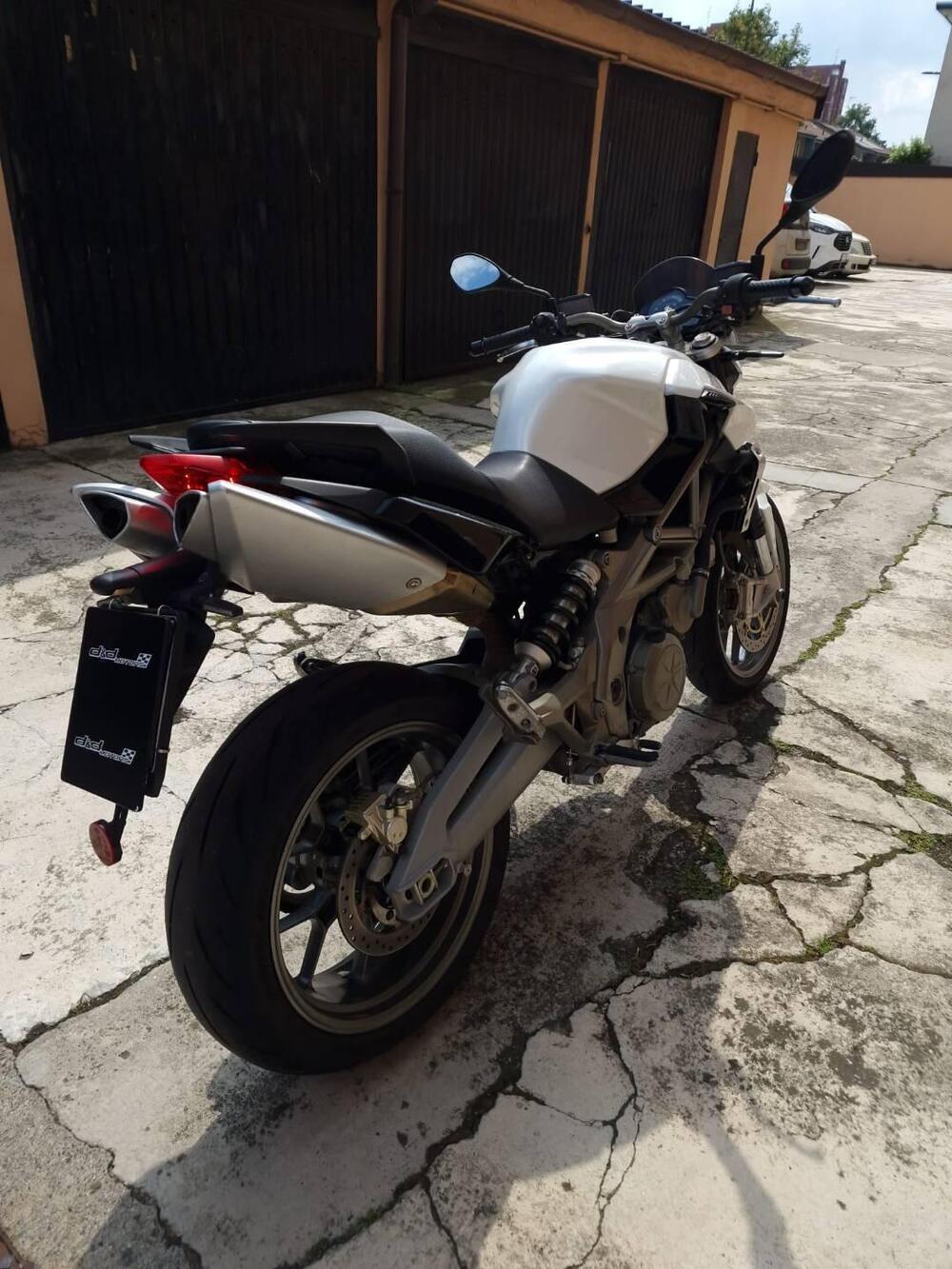 Aprilia Shiver (2008 - 10) (8)