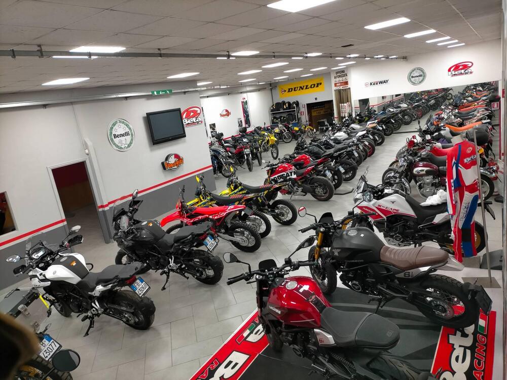 Benelli Tornado 550 (2025) (10)