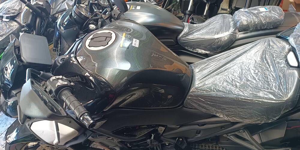 Kawasaki Z 900 (2025 - 26) (2)