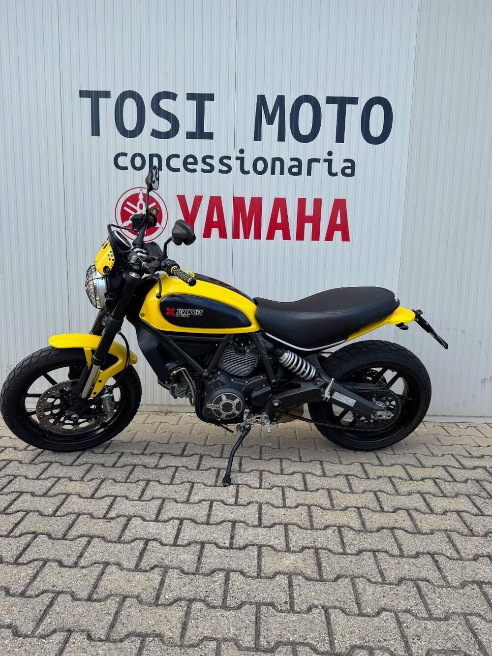 Ducati Scrambler 800 Icon (2015 - 16) (4)