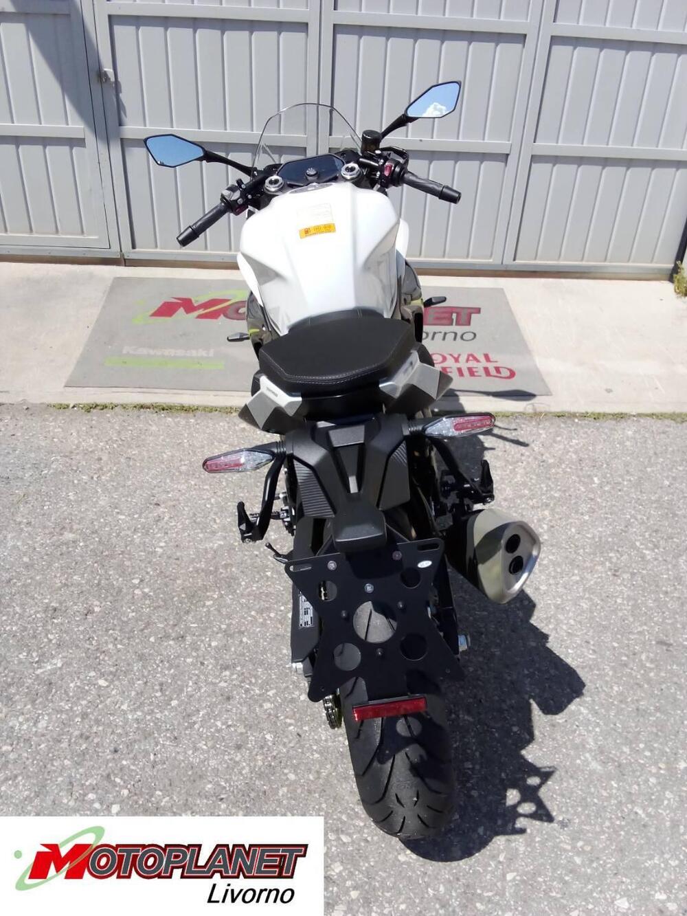 Benelli Tornado 550 (2025) (6)