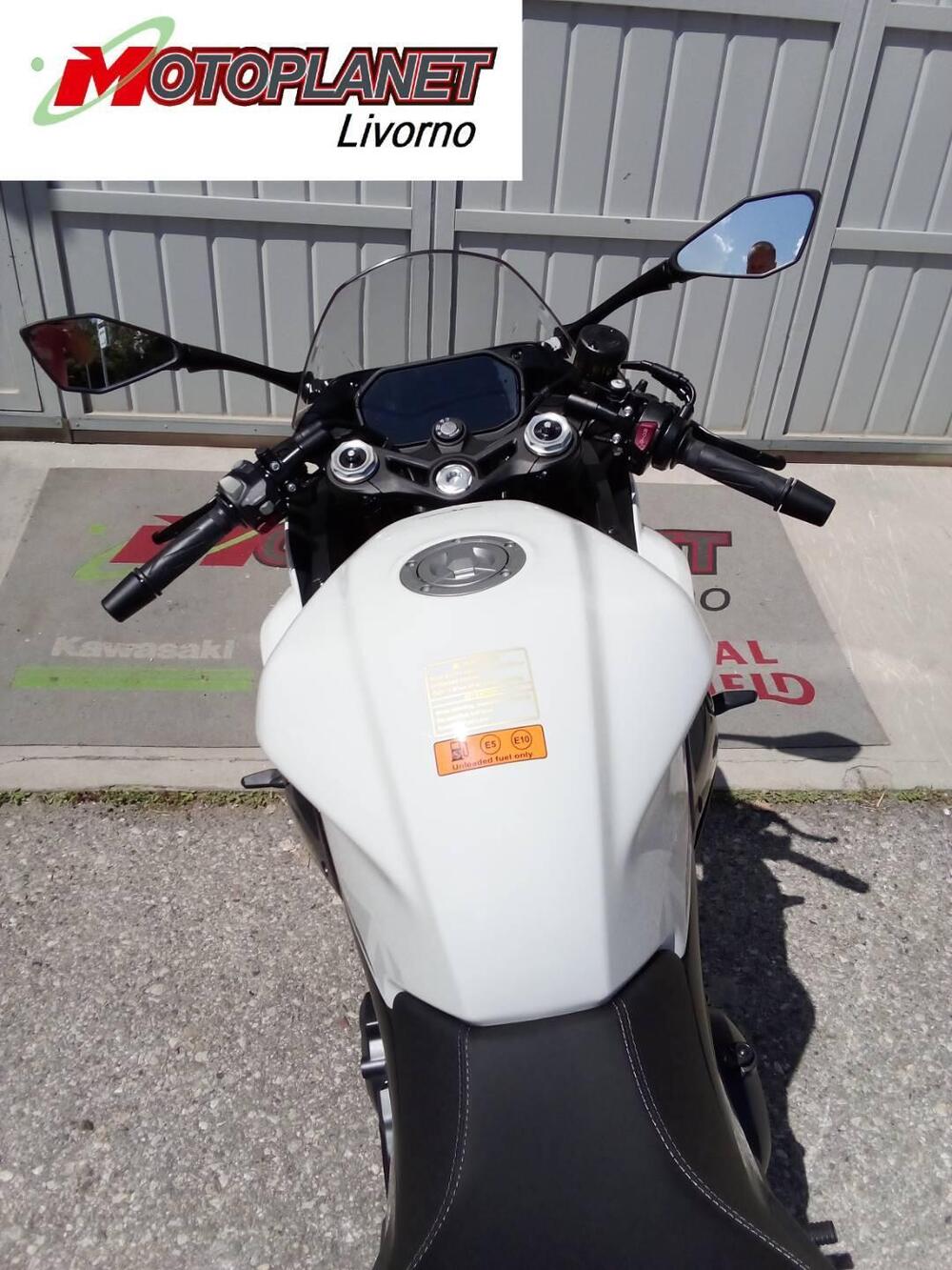 Benelli Tornado 550 (2025) (7)