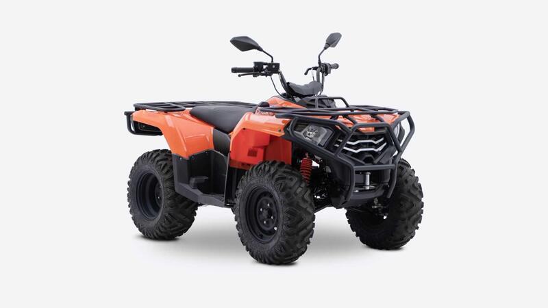 Loncin XWOLF 300 XWOLF 300 (2025)