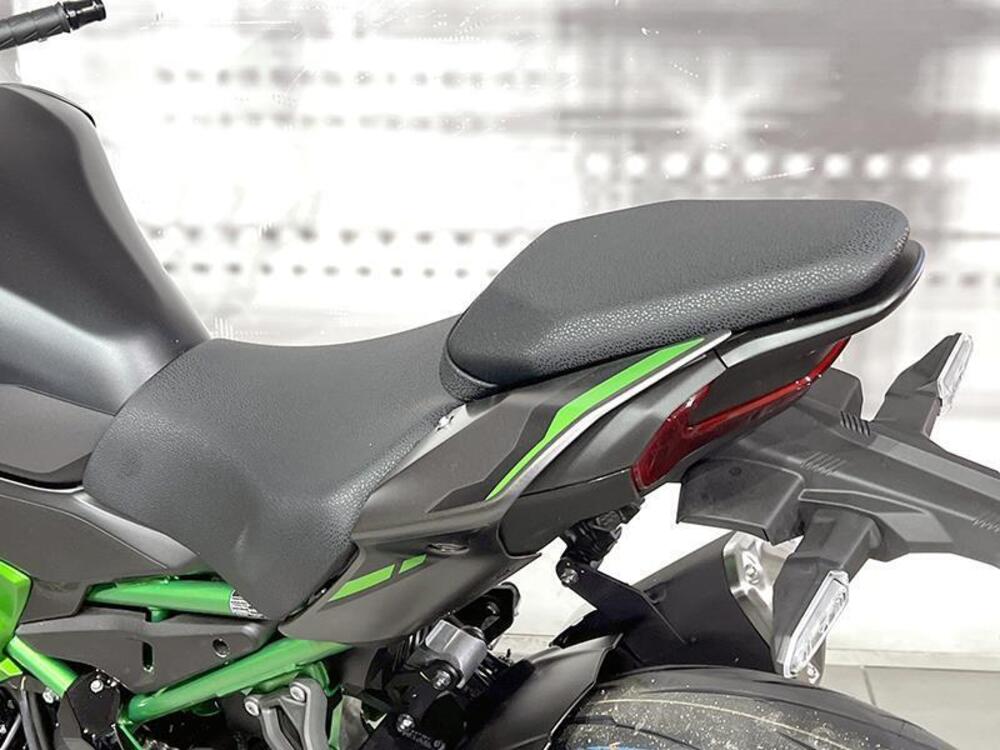 Kawasaki Z 900 (2025 - 26) (13)