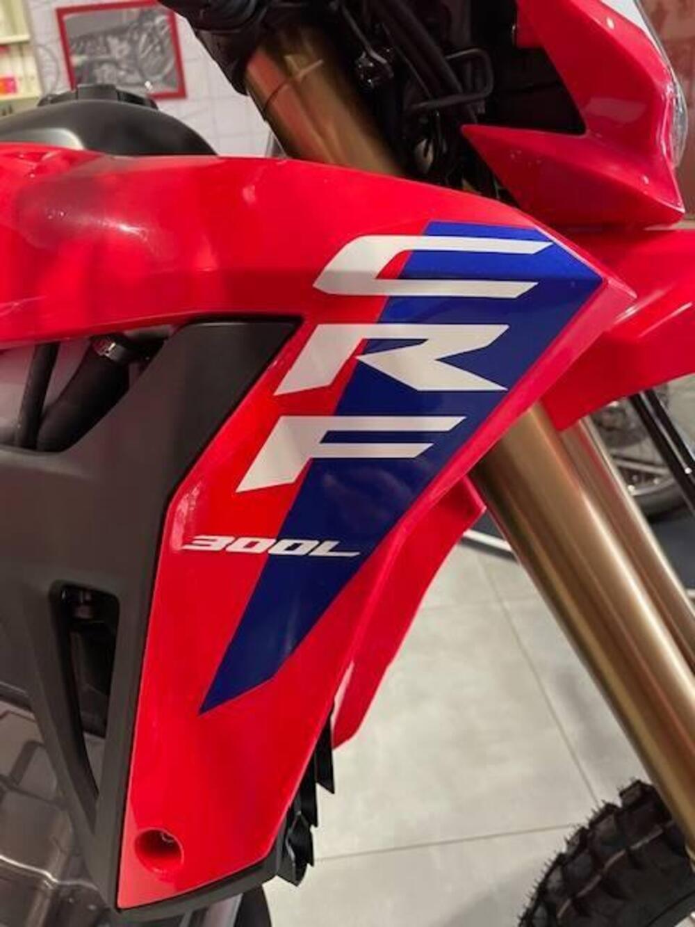 Honda CRF 300 L (2025) (4)