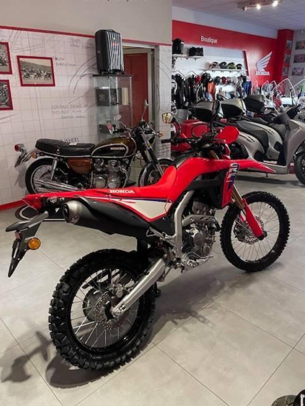 Honda CRF 300 L (2025) (5)