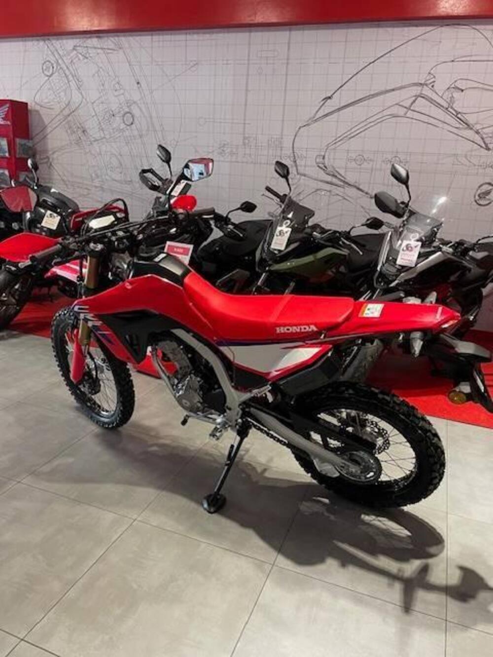 Honda CRF 300 L (2025) (6)